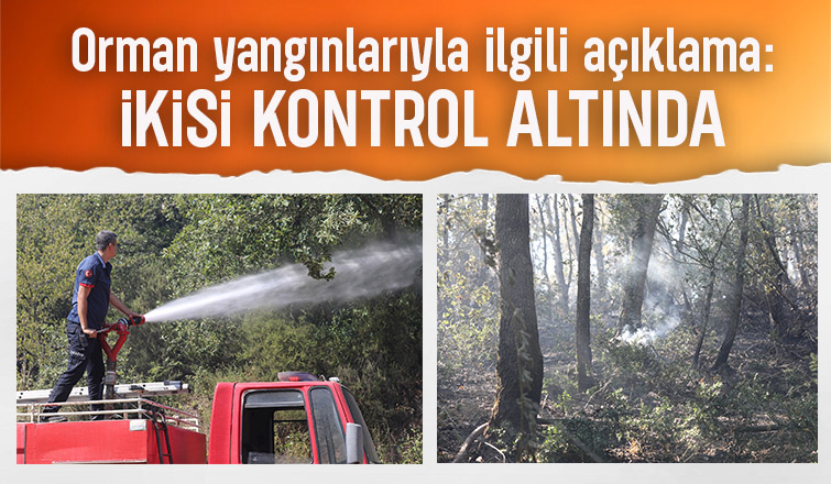 Sakarya'daki 3 yangından ikisi kontrol altında