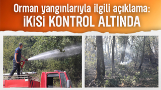 Sakarya'daki 3 yangından ikisi kontrol altında