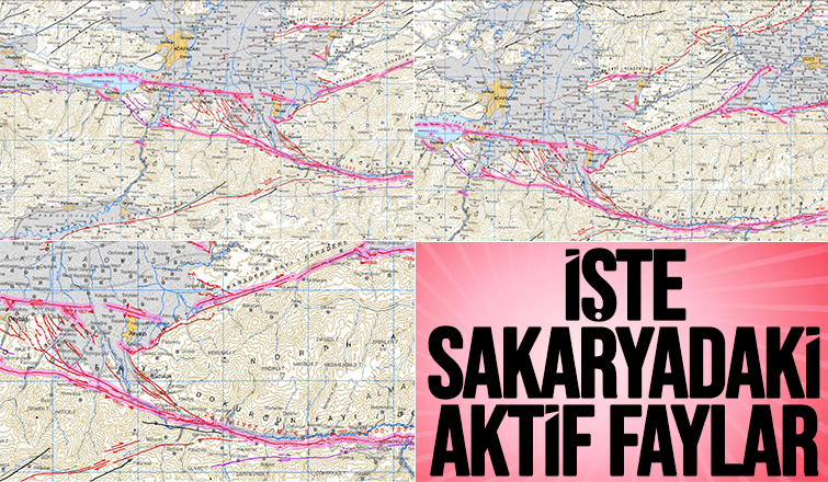 Sakarya'daki aktif faylar MTA haritasında