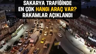 Sakarya'daki araç sayısı açıklandı