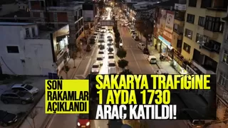 Sakarya'daki araç sayısında artış