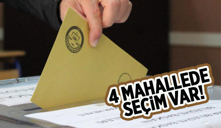 Sakarya'daki dört mahallede sandık kurulacak