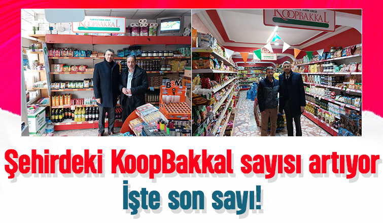 Sakarya'daki KoopBakkal sayısı açıklandı