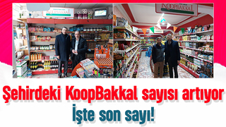 Sakarya'daki KoopBakkal sayısı açıklandı