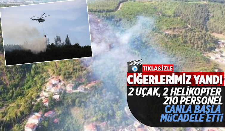 Sakarya'daki orman yangını kontrol altına alındı