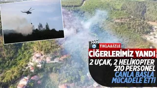 Sakarya'daki orman yangını kontrol altına alındı