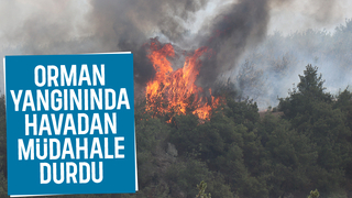 Sakarya'daki orman yangınında yeni gelişme