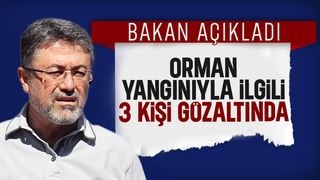 Sakarya'daki orman yangınıyla ilgili 3 kişi gözaltında