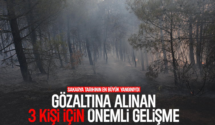 Sakarya'daki orman yangınıyla ilgili gözaltına alınanlar için önemli gelişme