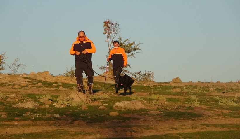 Sakarya'dan 2 arama köpeği gönderildi