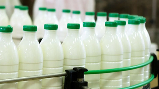 Sakarya'dan 71 ülkeye süt ve süt ürünü makineleri ihracatı