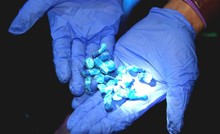 Sakarya'dan Artvin'e gidiyordu, uyuşturucu ile yakalandı