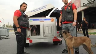 Sakarya'dan deprem bölgesine destek