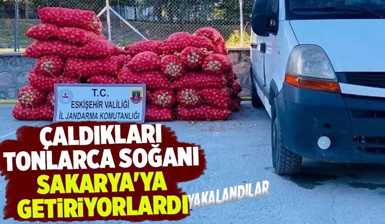 Sakarya'dan gidip tonlarca soğan çaldılar