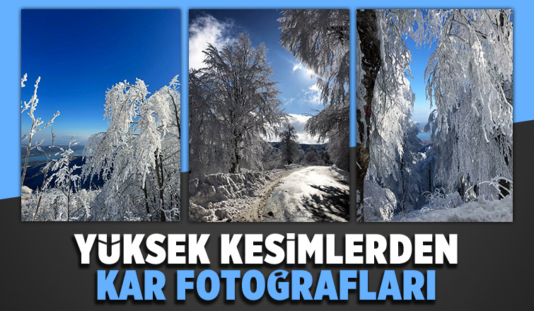 Sakarya'dan kar fotoğrafları