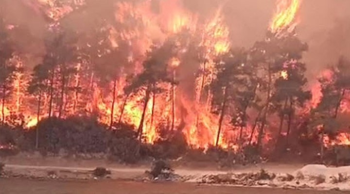 Sakarya'dan Milas'a gitmişti, kundaklama iddiasıyla tutuklandı