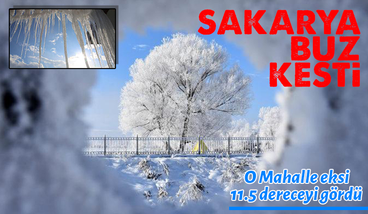 Sakarya dondu; O mahalle eksi 11,5'u gördü