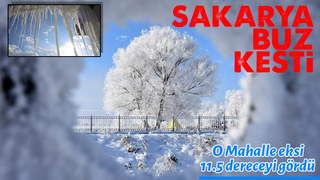 Sakarya dondu; O mahalle eksi 11,5'u gördü