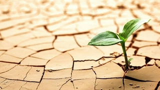 Sakarya en kurak dönemi yaşıyor