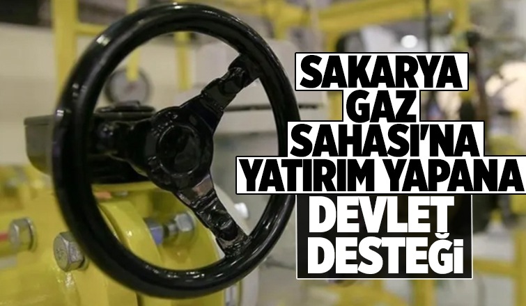 Sakarya Gaz Sahası için proje bazlı devlet desteği