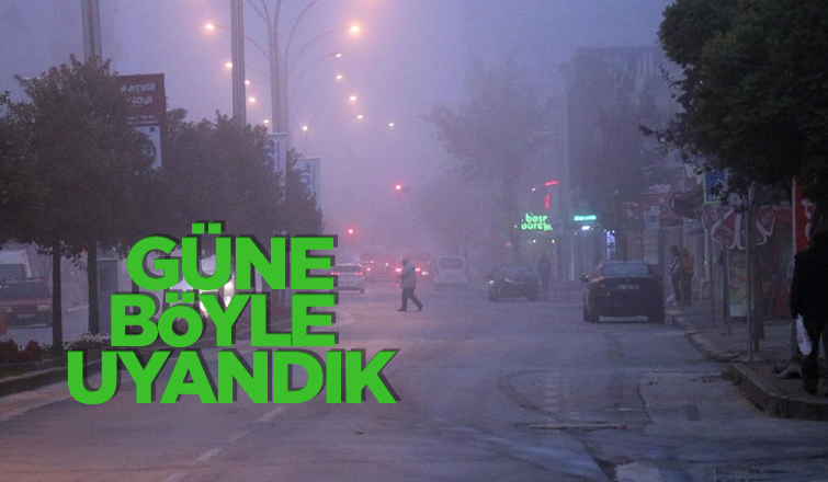 Sakarya güne sisle uyandı