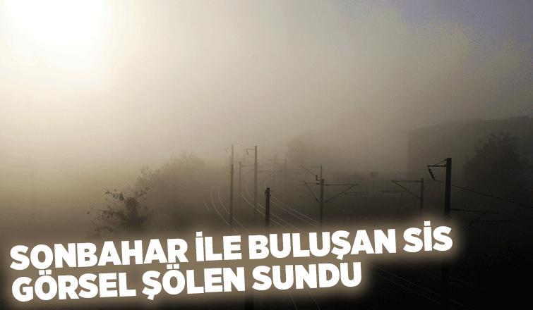 Sakarya güne sisle uyandı