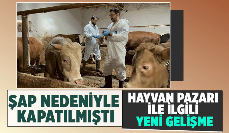 Sakarya Hayvan Pazarı ile ilgili son durum