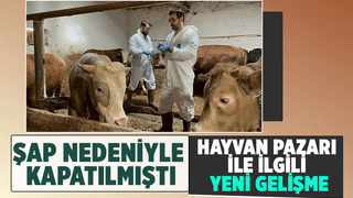 Sakarya Hayvan Pazarı ile ilgili son durum