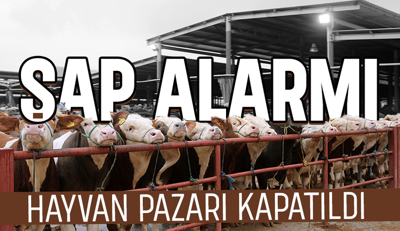 Sakarya Hayvan pazarı şap tedbiri için kapatıldı