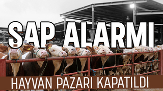 Sakarya Hayvan pazarı şap tedbiri için kapatıldı