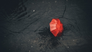 Sakarya için kuvvetli yağış uyarısı