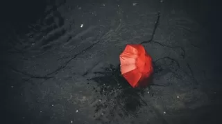 Sakarya için kuvvetli yağış uyarısı
