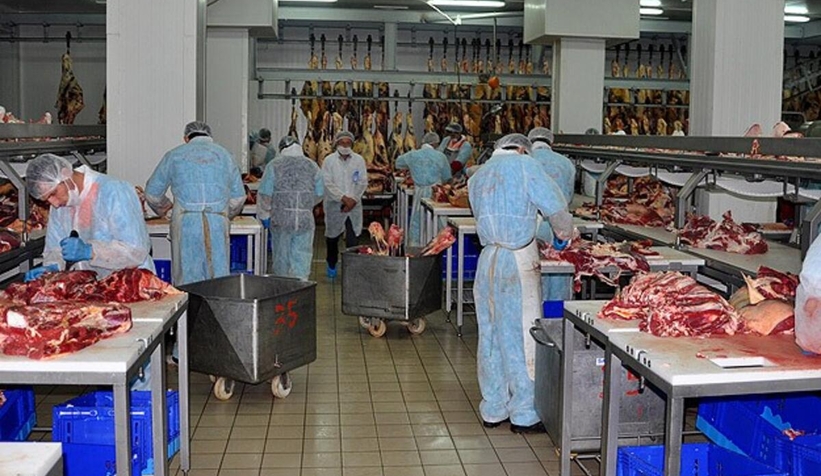 Sakarya Kombinası'na 55 geçici işçi alınacak