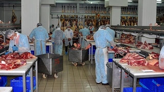 Sakarya Kombinası'na 55 geçici işçi alınacak