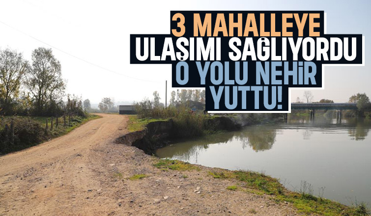 Sakarya Nehri 3 mahallenin yolunu unuttu