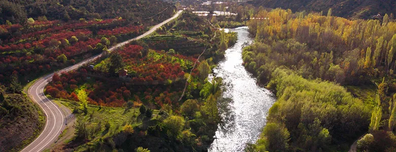 Sakarya Nehri için 3 ülkeden ortak mücadele