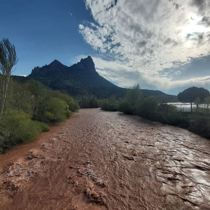 Sakarya Nehri kahverengine boyandı