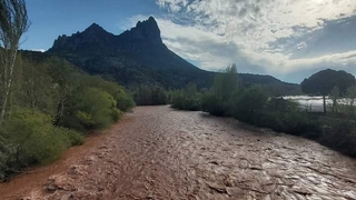 Sakarya Nehri kahverengine boyandı