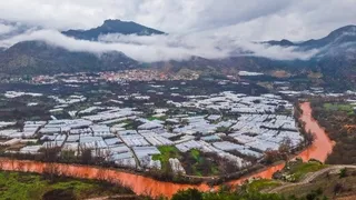 Sakarya Nehri kahverengiye döndü!