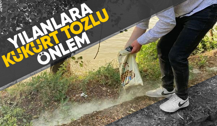 Sakarya Nehri kenarında yılanlara karşı önlem