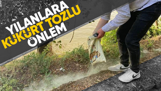 Sakarya Nehri kenarında yılanlara karşı önlem