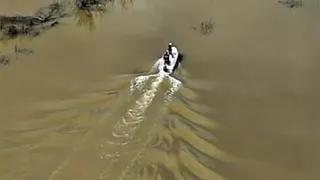 Sakarya Nehri'nde ağlar toplandı