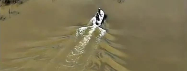 Sakarya Nehri'nde ağlar toplandı