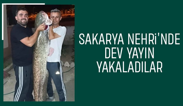 Sakarya Nehri'nde dev yayın yakalandı