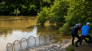 Sakarya Nehri'nde kaçak avcılara operasyon