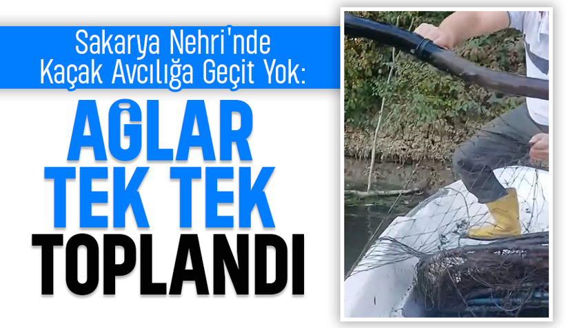 Sakarya Nehri'nde kaçak balık avcılarına operasyon