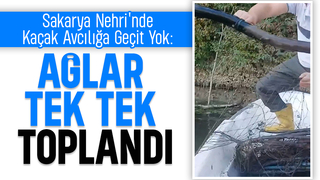 Sakarya Nehri'nde kaçak balık avcılarına operasyon