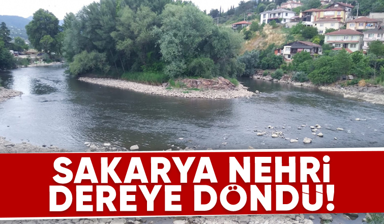 Sakarya Nehri'nde korkutan görüntü