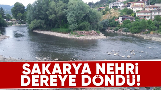 Sakarya Nehri'nde korkutan görüntü