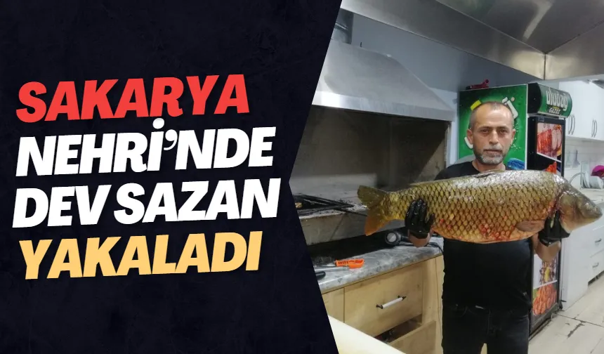 Sakarya Nehri'nde yakalandı: 13 kilo